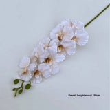 Vintage 9-Head Silk Butterfly Orchid Stem_Cwmm6507