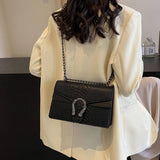 2024 NEW CROSSBODY CHAIN SMALL SQUARE BAG_CWAB2461