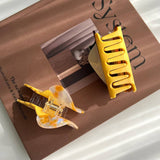 CREATIVE PIZZA SANDWICH ACETATE CLAW FUN HAIR CLIP_CWAHA5908