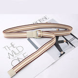 Cwabe0948_Striped Simple All-Match Double Buckle Belt