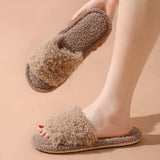 FASHIONABLE HOME CARTOON CURLY COTTON SLIPPERS_CWSHS0840