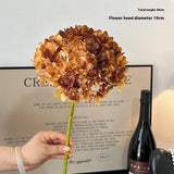 AUTUMN VINTAGE SINGLE STEM BURNT EDGE HYDRANGEA_CWMM6480