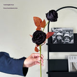 Vintage Ink-Styled Rose Bouquet With Dry Leaves_Cwmm6576