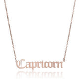 STAINLESS STEEL ZODIAC PENDANT CLAVICLE NECKLACE_CWMM2719