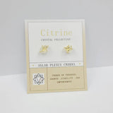 NATURAL STONE FOUR CLAW EARRINGS_CWAJE1070