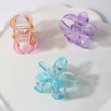 NEW GRADIENT PLUMERIA CLAW CLIP FOR WOMEN_CWAHA1057