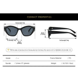 2024 NEW COLOR BLOCKED PC SUNGLASSES_CWASG0480