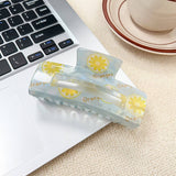 IRIDESCENT FRUIT HAIR CLAW SWEET CANDY COLOR CLIP_CWAHA1577