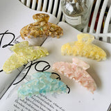 COLORFUL FLORAL ACETATE HAIR CLAW LARGE CHIC CLIP_CWAHA2155