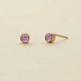 Twelve Zodiac Sign Earrings Zircon Fashion