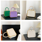 Fashionable Chain Dinner Bag_Cwab1573