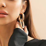 METAL WIND CIRCULAR RING THICK CHAIN EARRINGS_CWAJE1153