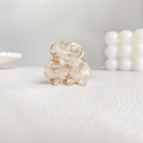 MINI DOPAMINE HAIR CLAW CUTE ACETATE CLIP_CWAHA0717