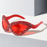 EXAGGERATED PERSONALITY LINE CAT EYE GLASSES_CWASG0837