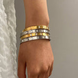 Zircon Clasp Bangle In Stainless Titani Steel_Cwaje4875