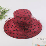 Women Mesh Wavy Edge Beach Sun Hat_Cwah1209