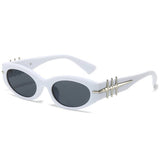 2024 NEW FASHION SUNGLASSES_CWASG0459