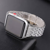 APPLE WATCH9 BEADED DIAMOND STRAP_CWWW0051