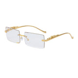FASHION SQUARE FRAME LEOPARD SUNGLASSES_CWASG0735