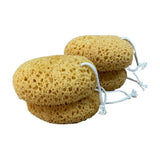 SEAWEED COTTON HONEYCOMB BATH BATH SPONGE_CWMM3402