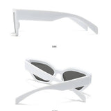 FASHION SMALL FRAME CAT EYE SUNGLASSES_CWASG0455