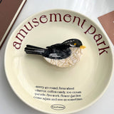 PARROT COLORBLOCK ACETATE HAIR CLAW CUTE CLIP_CWAHA6022