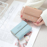 SMALL FRESH AND CUTE MULTIFUNCTIONAL WALLET_CWAB2325