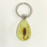 AMBER GLOW IN THE DARK INSECT KEYCHAIN PENDANT_CWMM3698