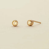 Zodiac Birthstone Zircon Stud Earrings Colorfast_Cwaje5027