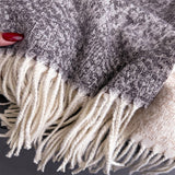 Colorblock Cashmere Feel Soft Warm Tassel Scarf_Cwasc03242