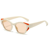 2024 NEW COLOR BLOCKED PC SUNGLASSES_CWASG0480