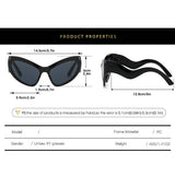 NEW CAT EYE RAINBOW SUNGLASSES_CWASG0412