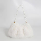 Winter Fashionable All-Match Fur Plush Bag_Cwab3918