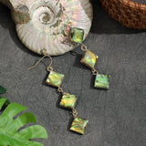 FASHIONABLE ABALONE DIAMOND TASSEL EARRINGS_CWMM4341