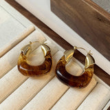 RETRO BROWN LIGHT LUXURY EARRINGS_CWASC1339