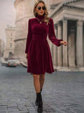 Velvet Long-Sleeved Dress With Waist Tucked