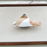 STINGRAY ACETATE HAIR CLAW CLIP FOR WOMEN_CWAHA5786