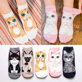 CUTE CAT PATTERN ANKLE SOCKS_CWMS0210