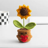 Cwmm9273_Crocheted Plant Ornaments