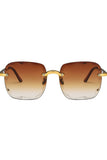 STREET SHOOTING CATWALK SUNGLASSES_CWASG0132