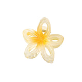 HOLLOW GRADIENT FLOWER HAIR CLAW CLIPS SUMMER CLIP_CWMM5003