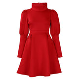 TEMPERAMENT HIGH COLLAR SLIM WAIST A LINE DRESS_CWDSD6086