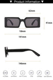 Basic Simple Square Sunglasses_Cwasg0091