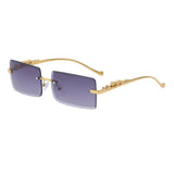 FASHION SQUARE FRAME LEOPARD SUNGLASSES_CWASG0735