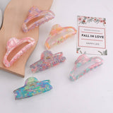 Cwaha1414_Multicolor Large Hair Claw Clip