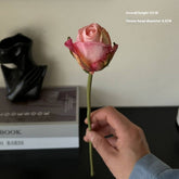 BURNT EDGE ANGORA ROSE FOR HOME PHOTO DECOR_CWMM6571