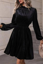 Velvet Long-Sleeved Dress With Waist Tucked
