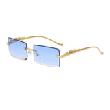 FASHION SQUARE FRAME LEOPARD SUNGLASSES_CWASG0735