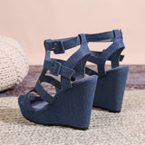 BEAUTIFUL FASHIONABLE PLATFORM WEDGE HIGH HEELS_CWSHH0125