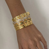 LUXURY ZIRCON CLASP BRACELET IN STAINLESS STEEL_CWAJE4656